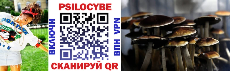 Псилоцибиновые грибы мухоморы  даркнет формула  Чадан 